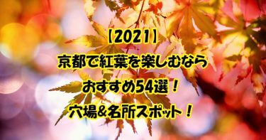 【2021】京都で紅葉を楽しむならおすすめ54選！穴場&名所スポット！