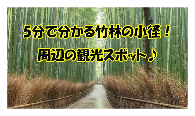 5分でわかる竹林の小径 嵐山周辺にある観光スポット 嵐山デート Kyorism