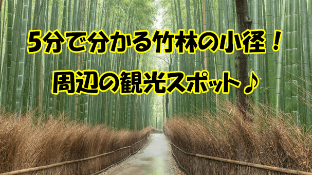 5分でわかる竹林の小径 嵐山周辺にある観光スポット 嵐山デート Kyorism