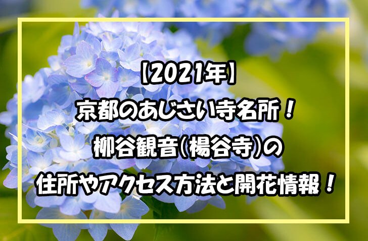 【2021年】京都のあじさい寺名所！柳谷観音（楊谷寺）の住所やアクセス方法と開花情報！